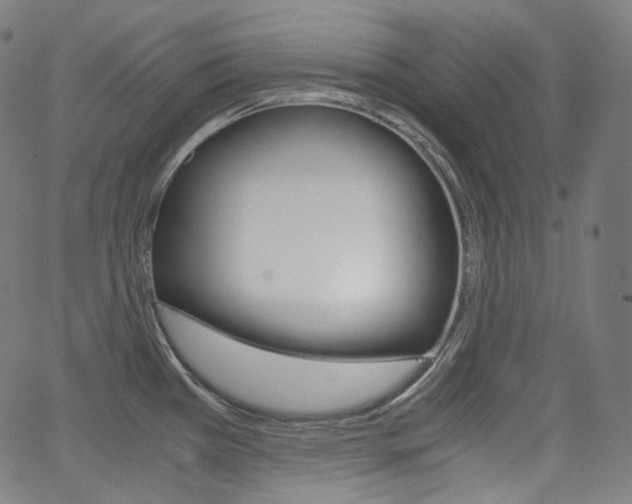 X0000063461385200601200919