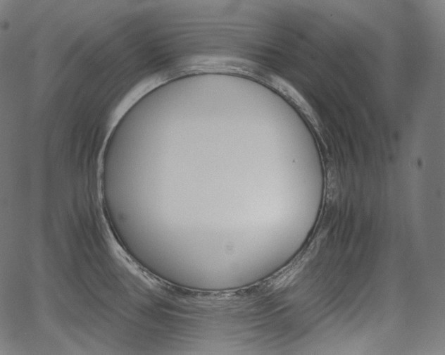 X0000063461386200601200919