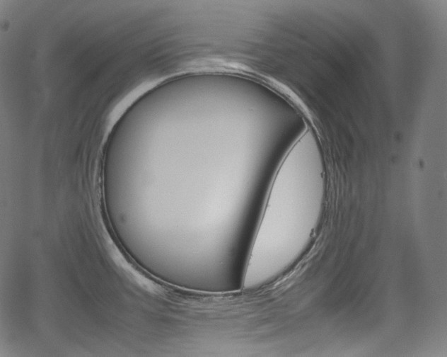 X0000063461387200601200919