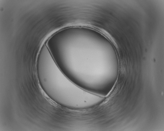 X0000063461388200601200919