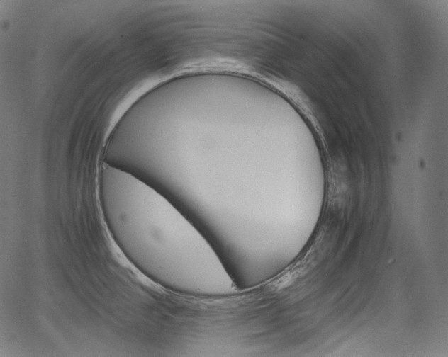X0000063461390200601200919