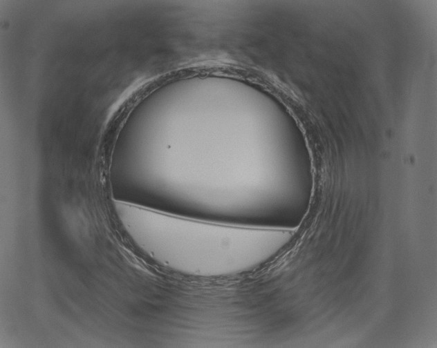 X0000063461400200601200918