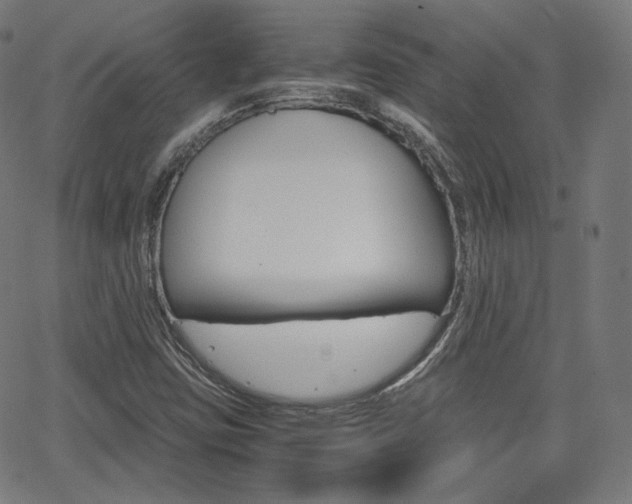 X0000063461403200601200918