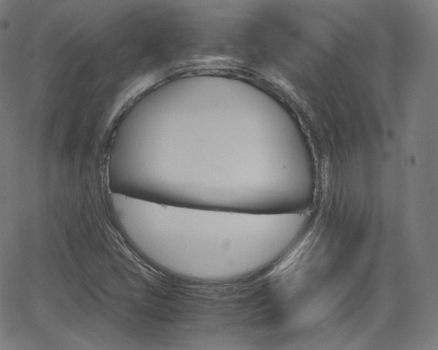 X0000063461405200601200918