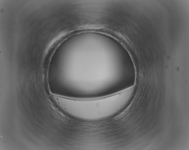 X0000063461406200601200918