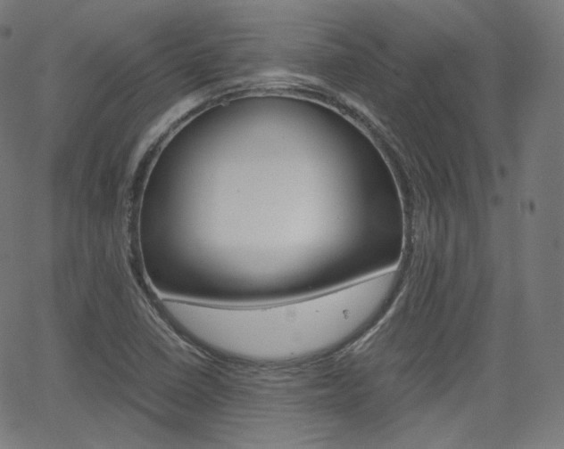 X0000063461410200601200918