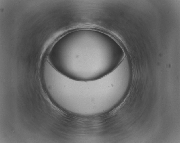 X0000063461414200601200919