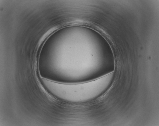 X0000063461418200601200919