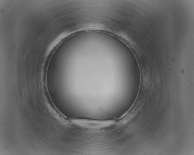 X0000063461422200601200919