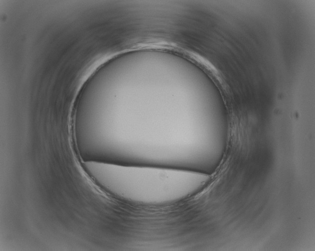 X0000063461423200601200919