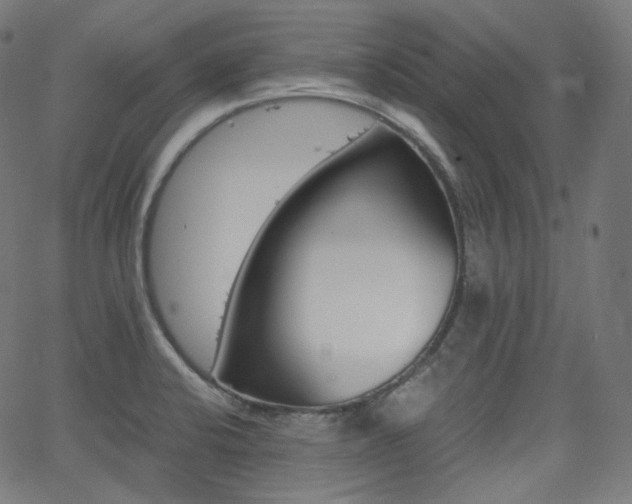 X0000063461424200601200919