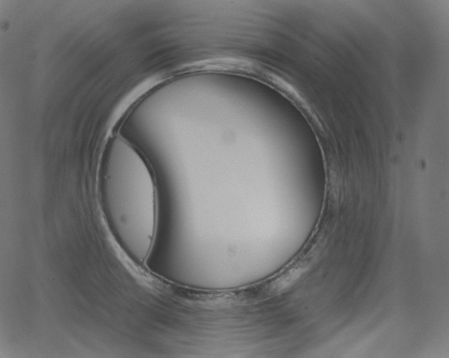 X0000063461426200601200919