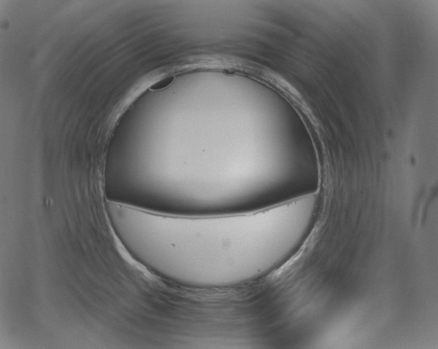 X0000063461433200601200919