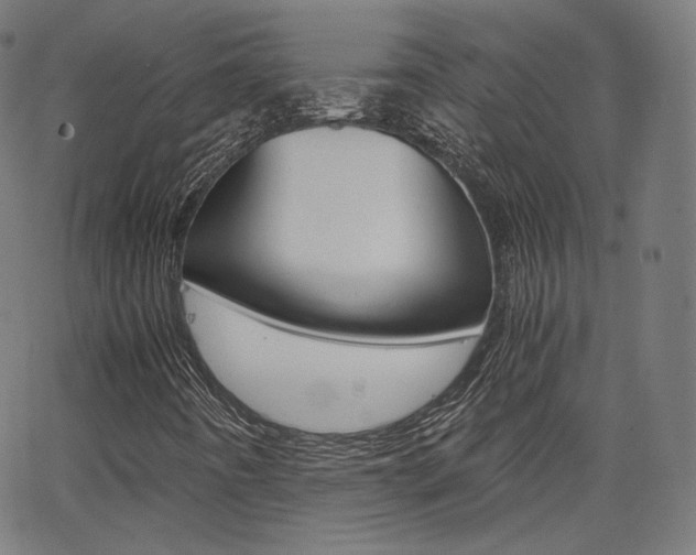 X0000063461442200601200918