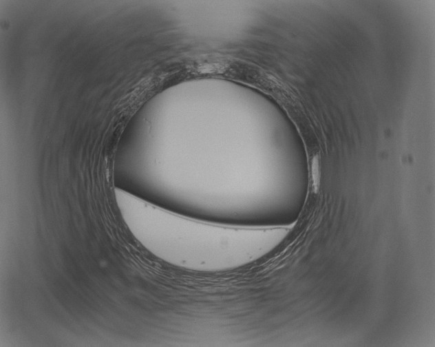 X0000063461443200601200918