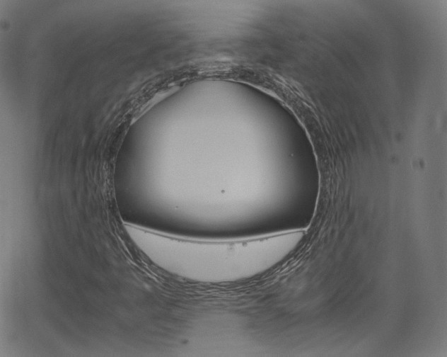 X0000063461445200601200918