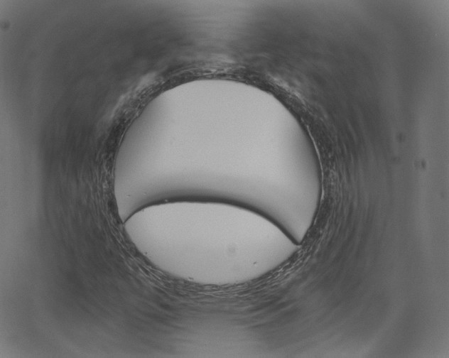 X0000063461447200601200918