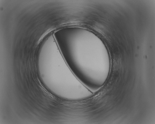 X0000063461450200601200918