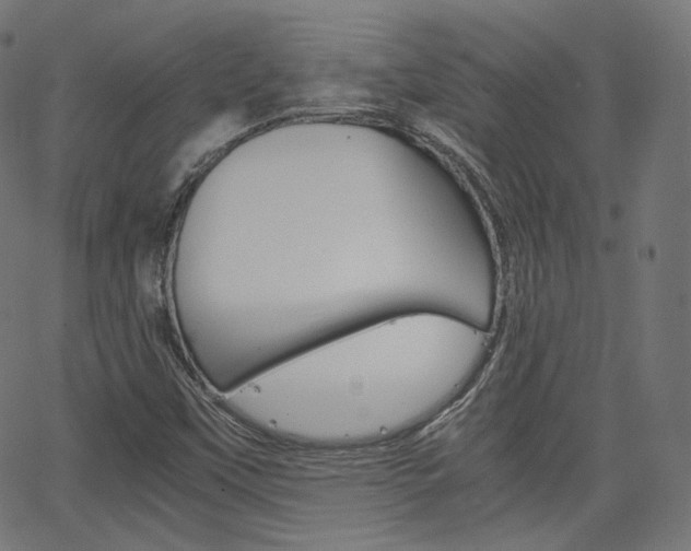 X0000063461451200601200918