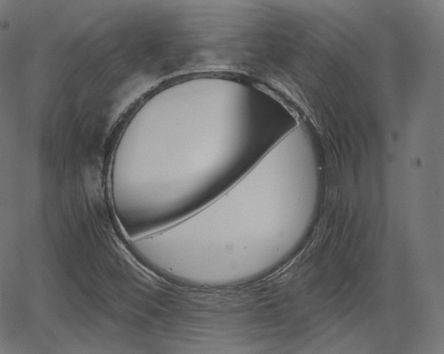 X0000063461452200601200918