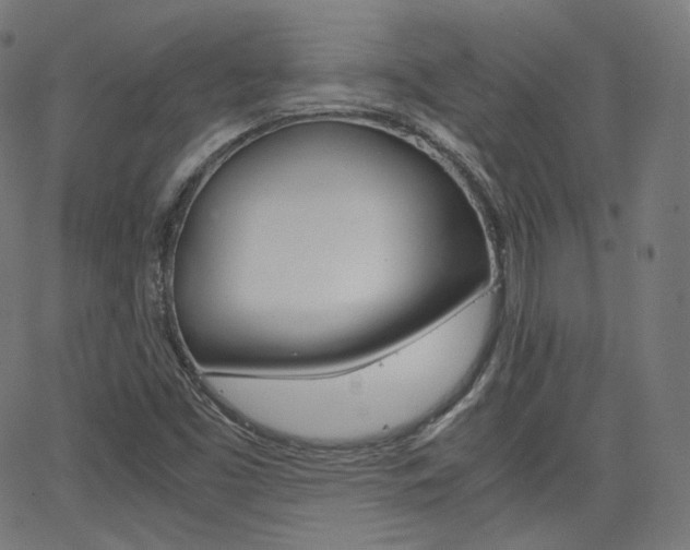 X0000063461453200601200918
