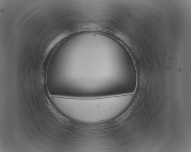 X0000063461458200601200918