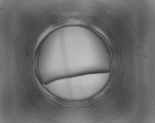 X0000063461467200601200918