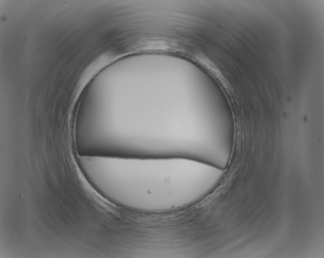 X0000063461475200601200918
