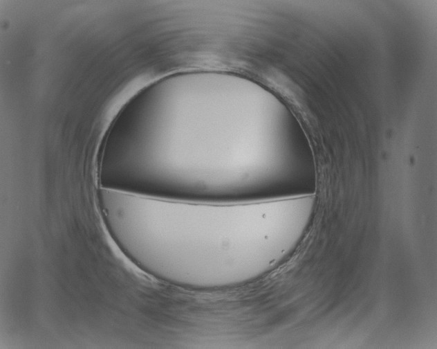 X0000063461479200601200918