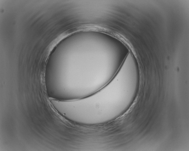X0000063461481200601200918