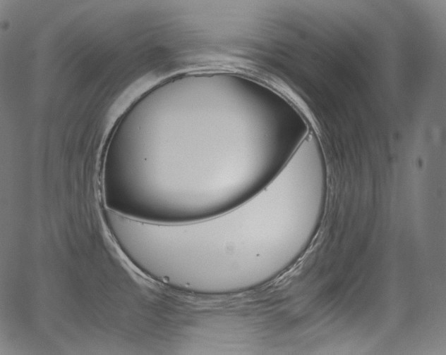 X0000063461485200601200917