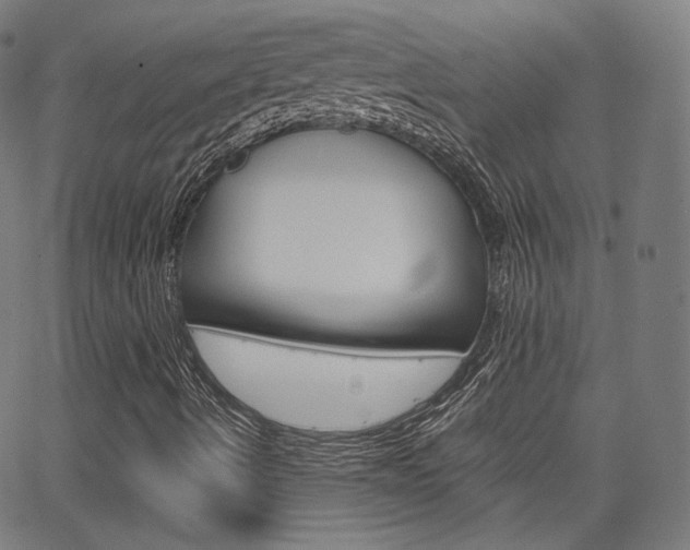 X0000063461490200601200917
