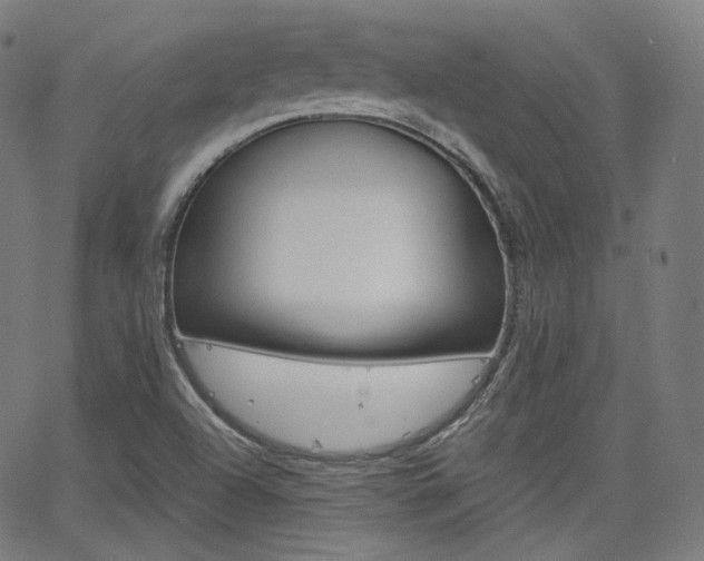 X0000063461504200601200917