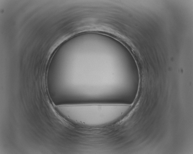 X0000063461513200601200917