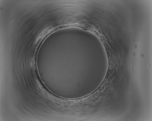 X0000063460002200601201257