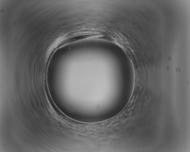 X0000063460003200601201257