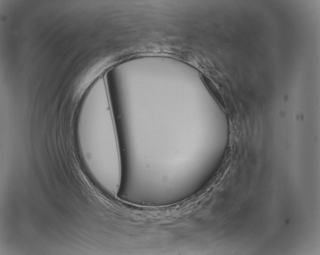 X0000063460005200601201257