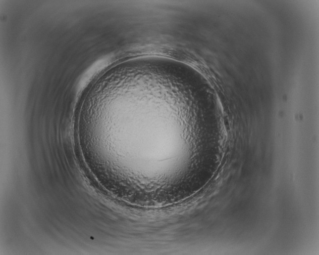 X0000063460006200601201257