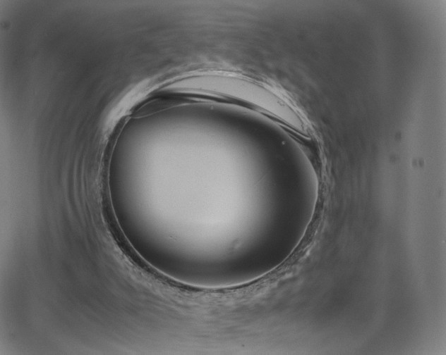 X0000063460007200601201257