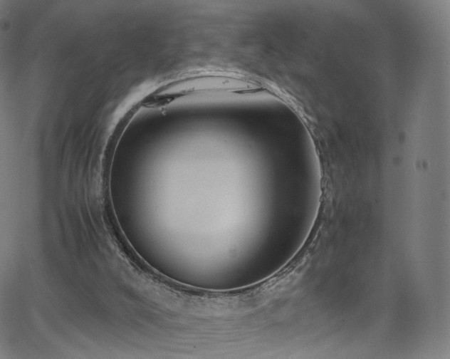 X0000063460008200601201257