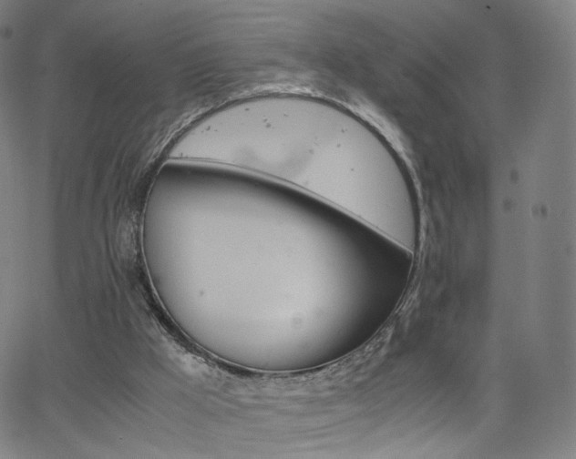 X0000063460009200601201257