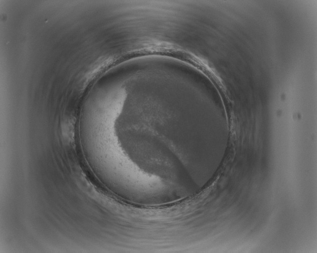 X0000063460010200601201257