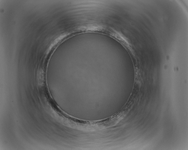 X0000063460012200601201257