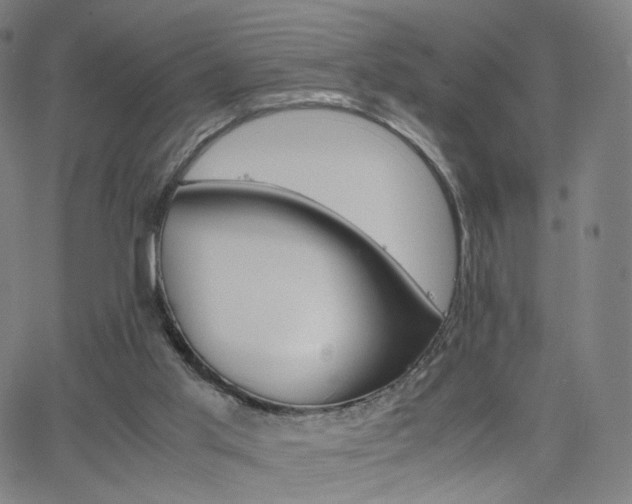 X0000063460013200601201257