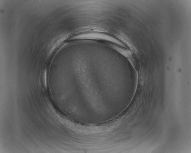 X0000063460014200601201257