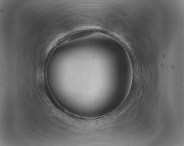 X0000063460015200601201257