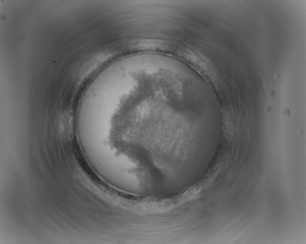 X0000063460016200601201257