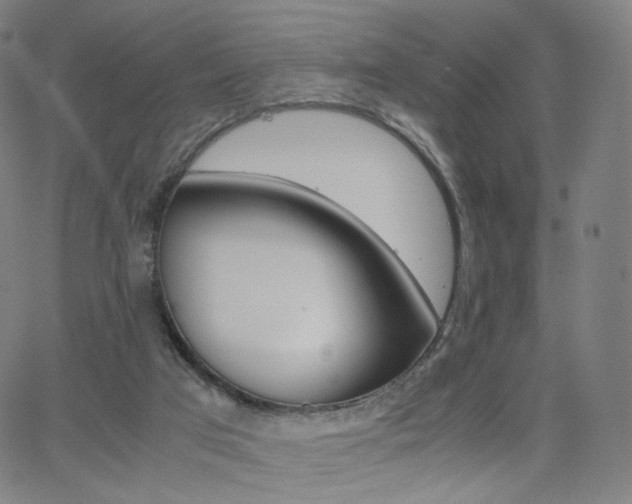 X0000063460017200601201257