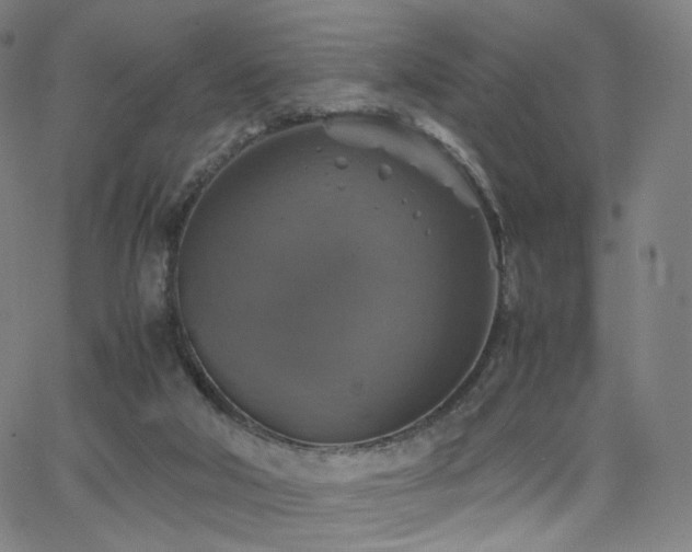 X0000063460018200601201257