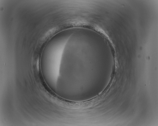 X0000063460019200601201257